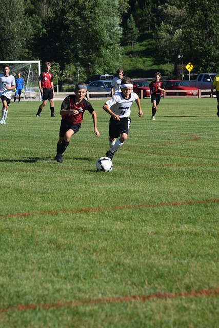 而忽略了其 而忽略了其