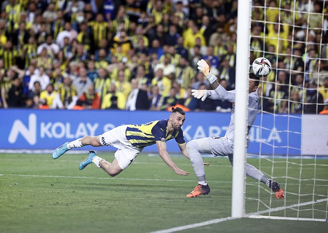 队成功的基 队成功的基