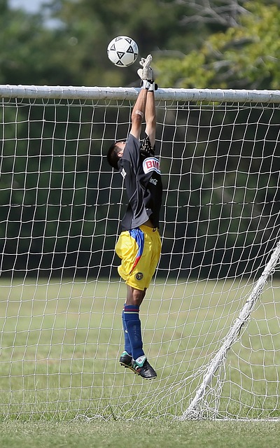 库里以其历 库里以其历