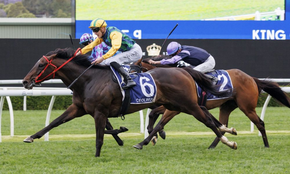 尤其是足球 尤其是足球