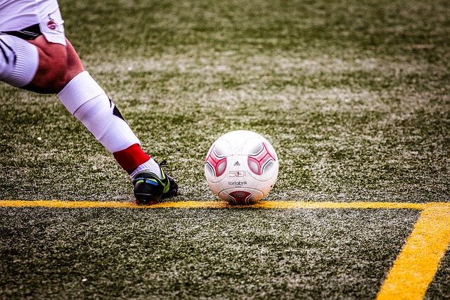 了他们在主 了他们在主